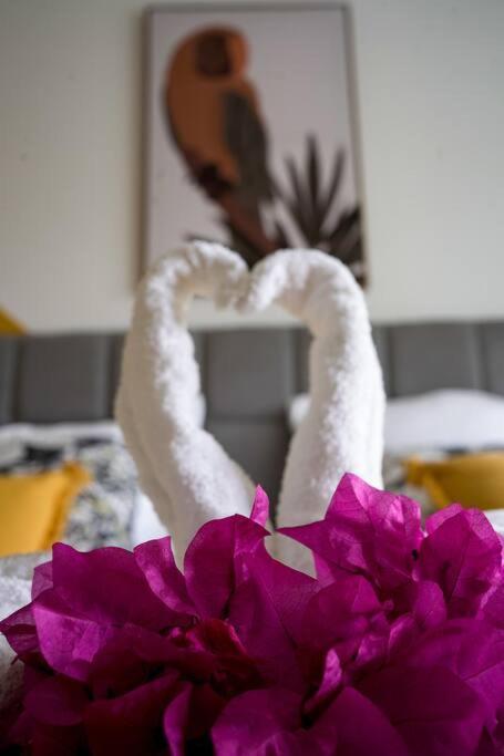 Le Marie-Agnes Appartement Neuf De Standing Fort-de-France Zewnętrze zdjęcie